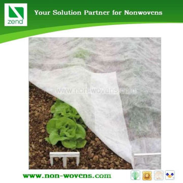 Tissu non tissé hydrophobe de couverture de plante de banane UV de pp